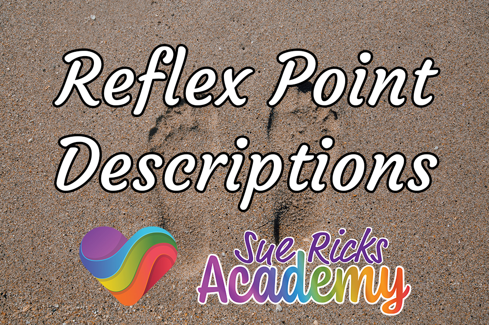 Reflex Point Descriptions 